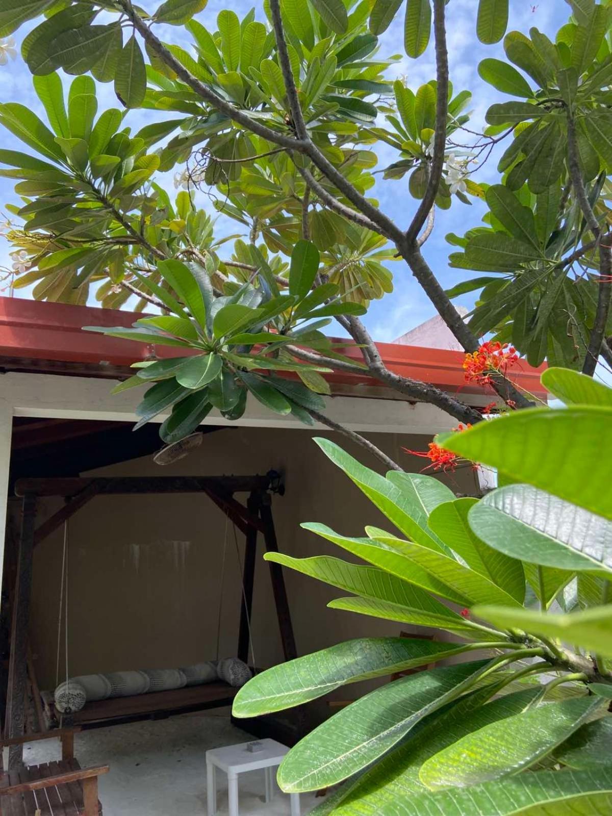 Cerulean View Residence Hanimaadhoo Island Exterior foto