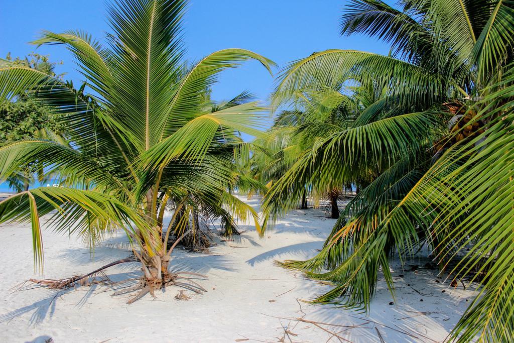 Cerulean View Residence Hanimaadhoo Island Exterior foto